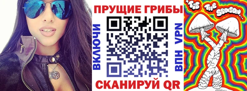 наркотики  Губкин  Галлюциногенные грибы Cubensis 